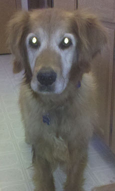 Charles the good on a bad hair day